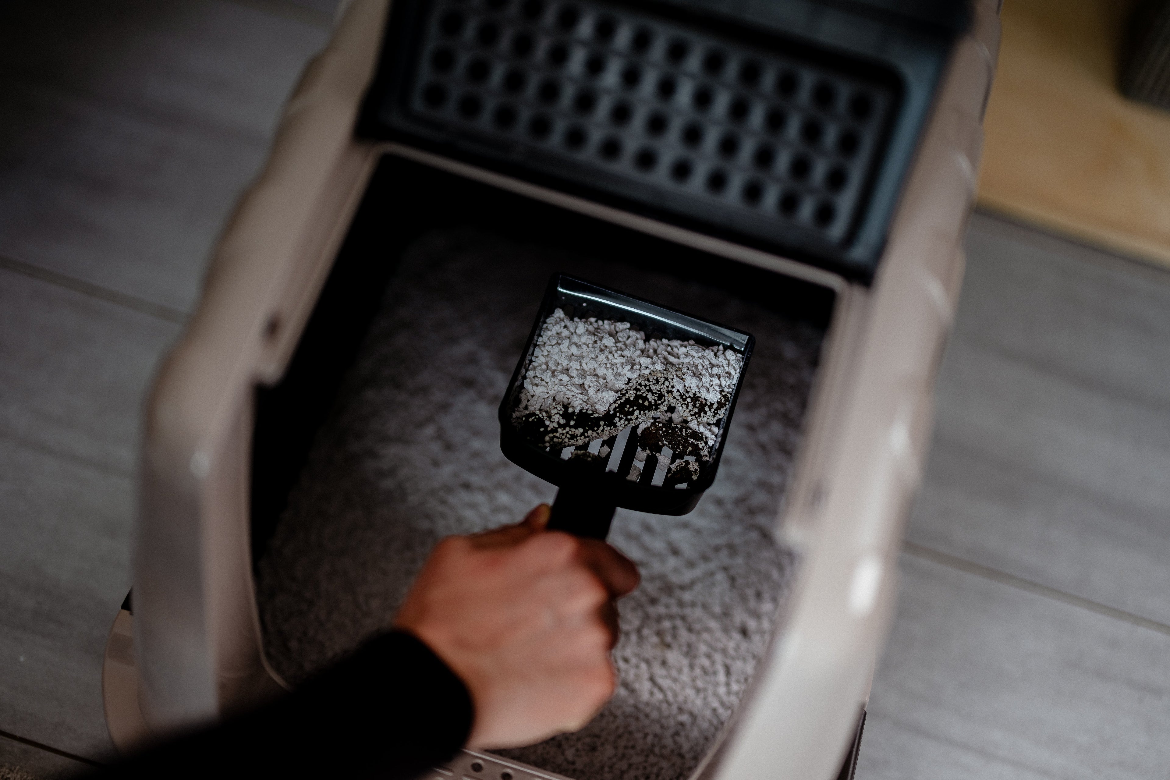 Kompletter Hygieneplan fürs Katzenklo