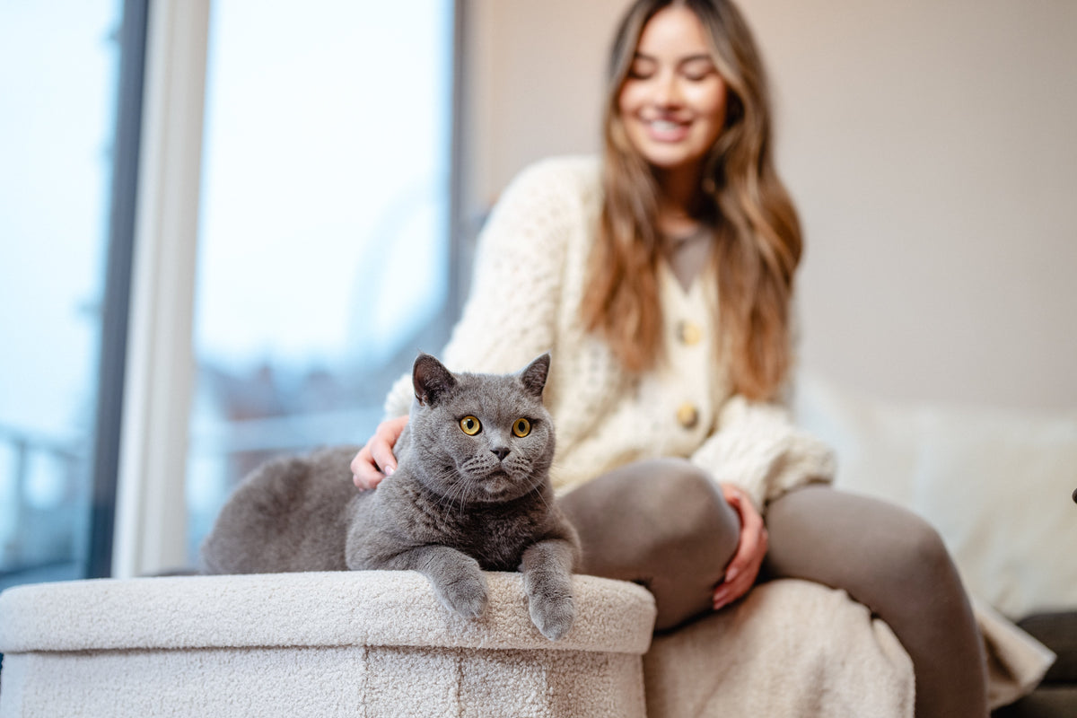 Womit reinigt man das Katzenklo