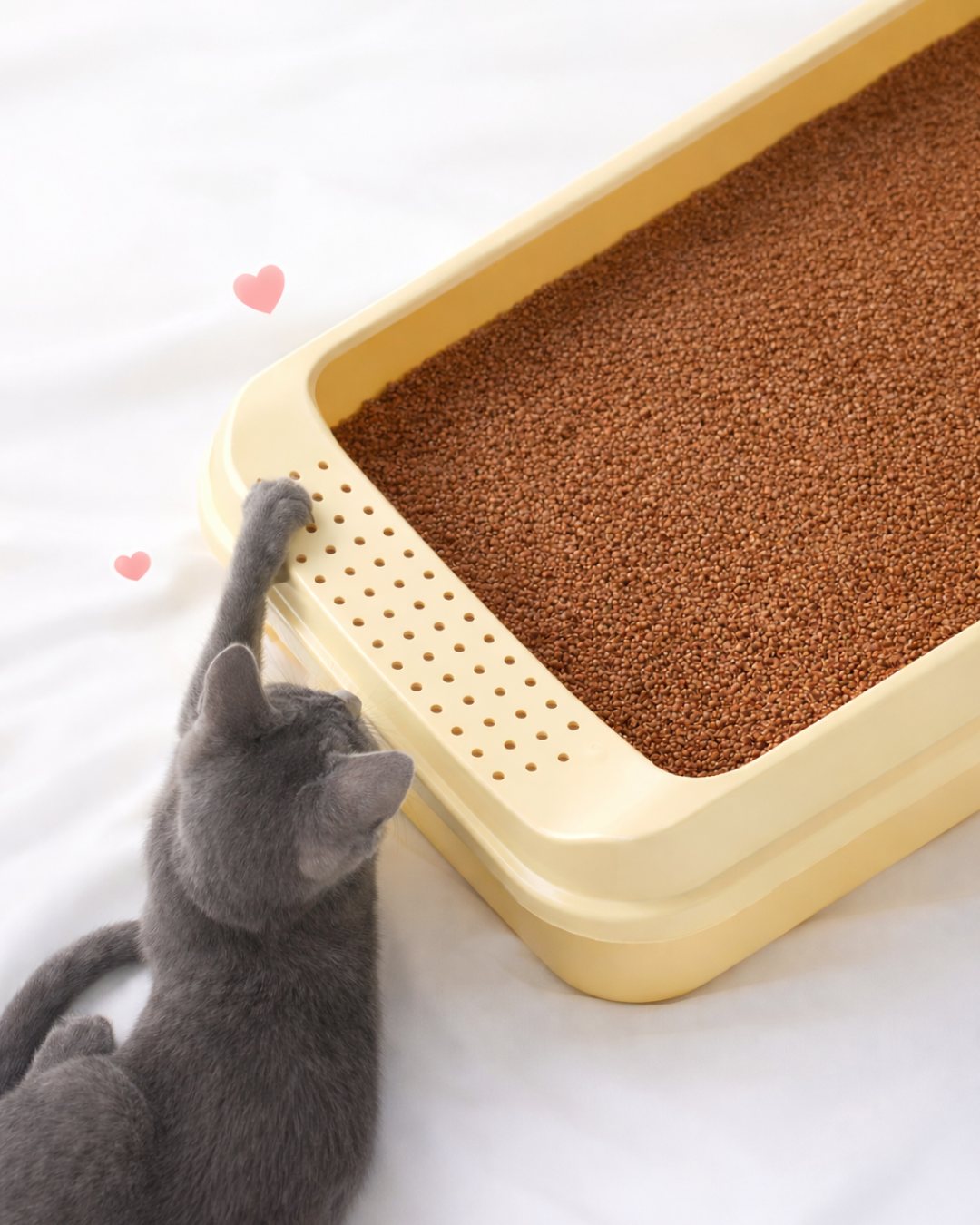 Wie viel Katzenstreu, perfekte Füllmenge