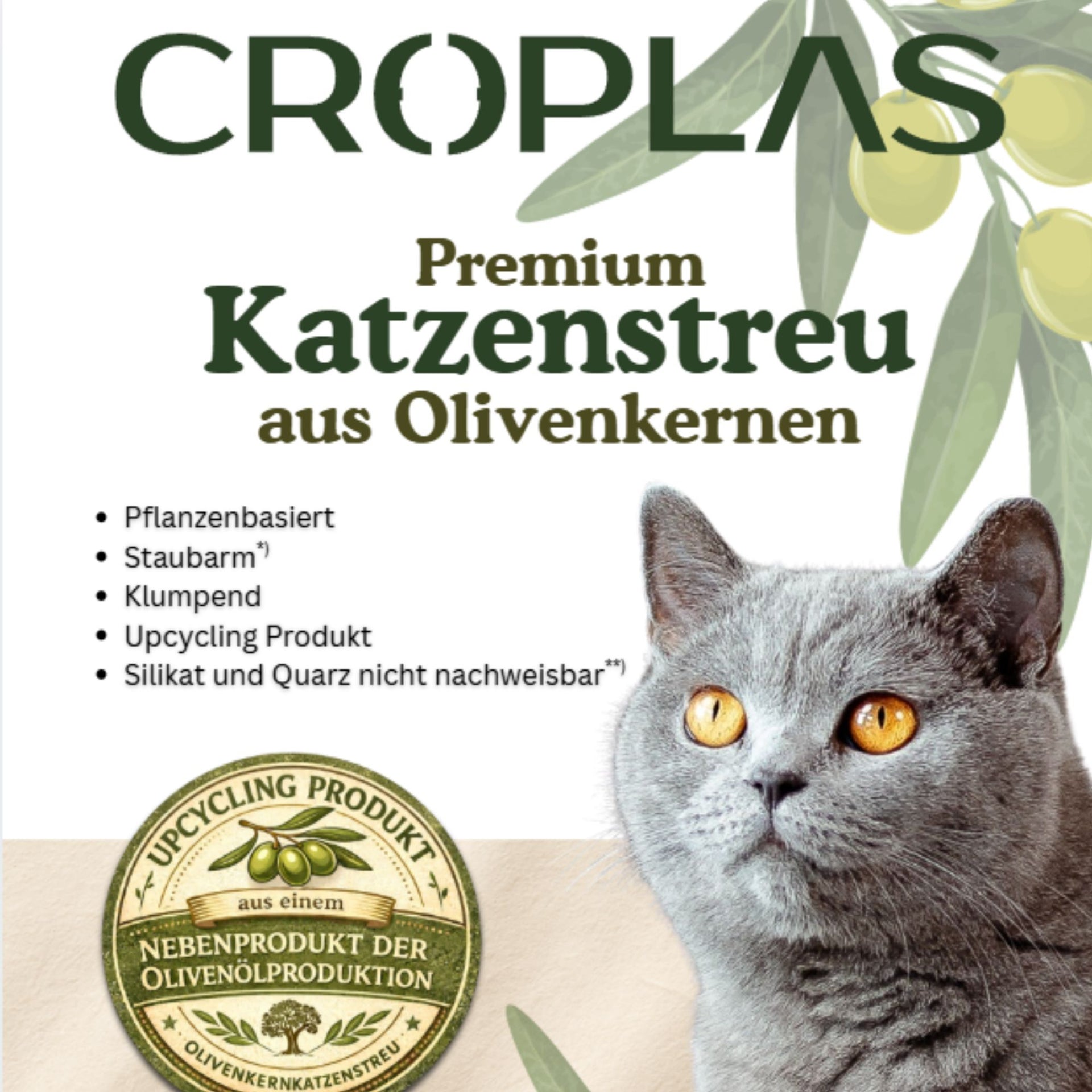 Original Katzenstreu aus Olivenkernen – staubarm