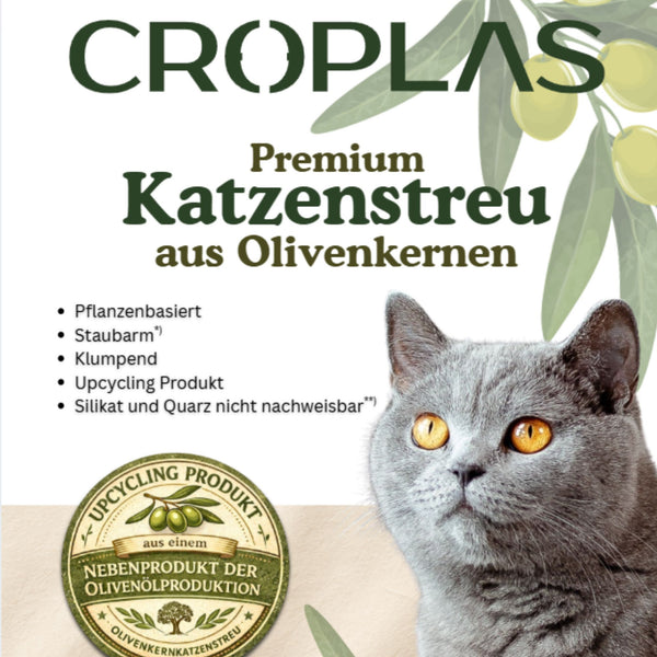 Original Katzenstreu aus Olivenkernen – staubarm